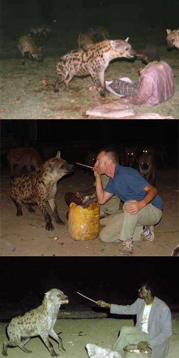 Harar's Hyena Man