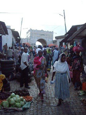 Harar, Ethiopia: Two months in Africa
